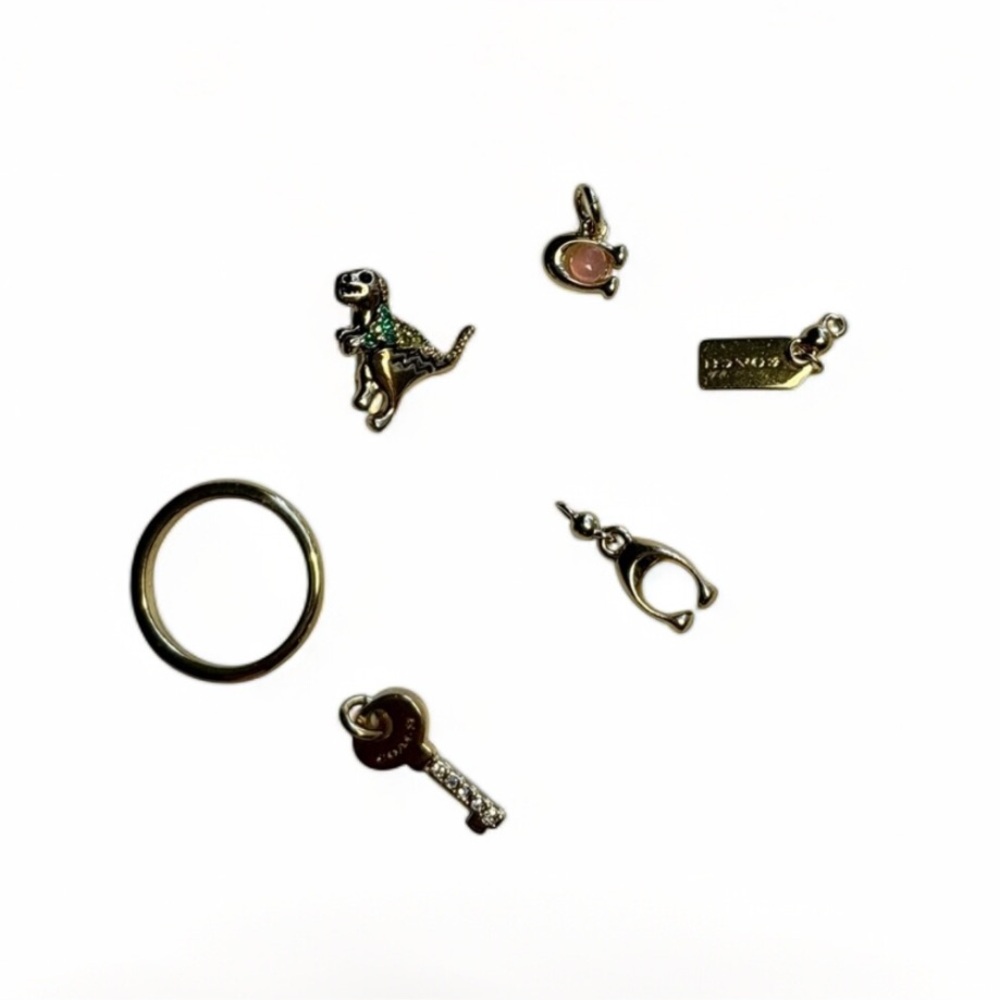 Gold  Charm Set